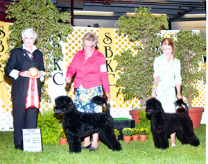 2010 Breeders Showcase Santa Barbara Working Group 3 Judge Carol Grossman CH Dickie and CH Carly